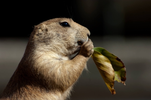 300684601_216966247322096_2293841841384322364_n